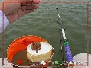 垂钓时使用什么样的饵料诱惑鱼？