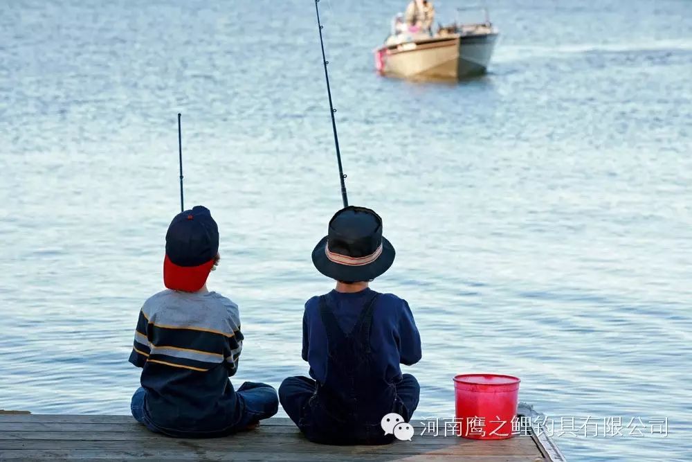 用心感受鱼的世界，钓鱼才会变得容易