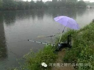 你知道吗，夏季遇到雨天钓鱼优势更大！