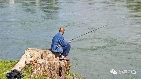 钓鲢鳙这些技巧必须掌握，钓鱼高手的钓鱼经验