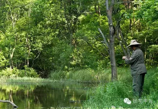 春季钓鱼如何才能鱼更容易上钩呢？