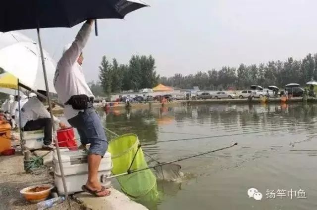 水库钓鱼技巧总结 高手钓鱼经验