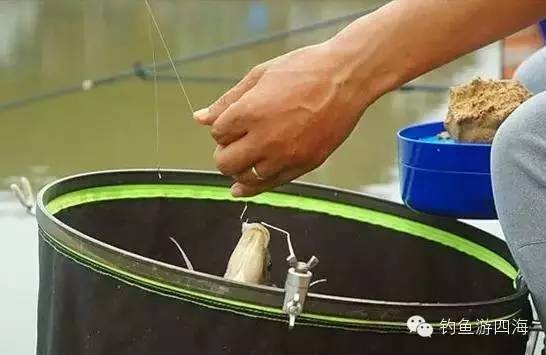 【钓鱼技巧】钩、线、饵、坠、漂、提杆全套技巧
