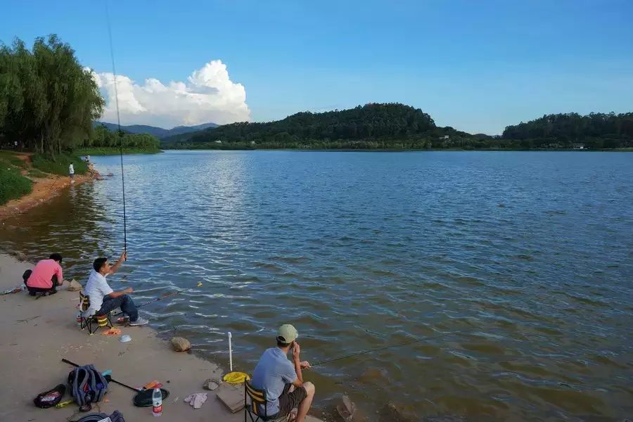小伙子千岛湖边钓鱼、因为这个动作断送了年轻的生命！