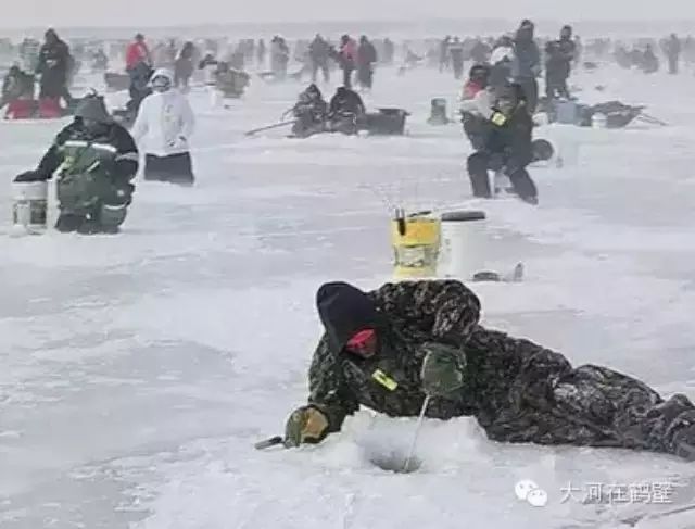 【鹤惊险】Oh My god 冰面突然破裂，20余名冰钓者集体坠河  惨不忍睹！！