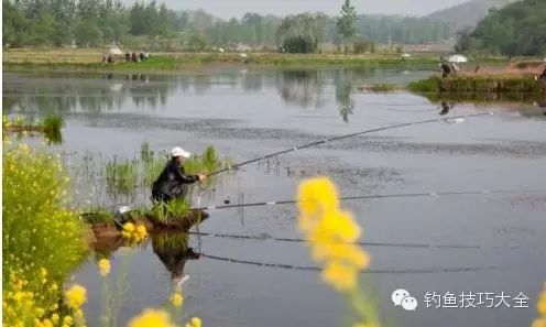 春季钓鱼挑选钓位的2个实用技巧