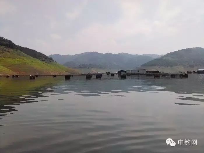 万峰湖--渔人天堂，巴桑垂钓记(建议WIFI下观看)