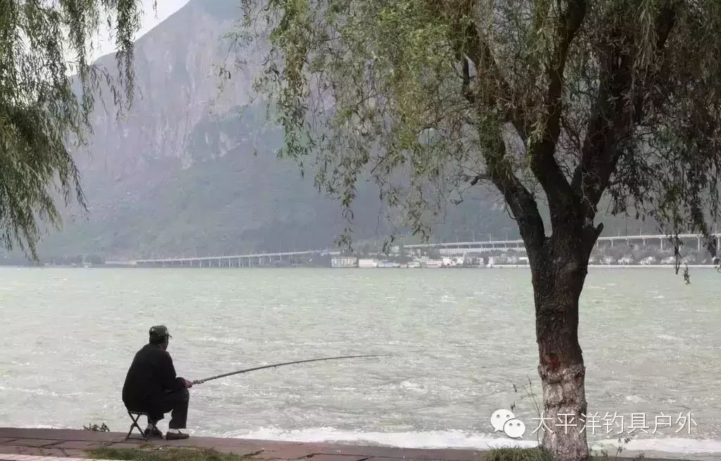 【大鱼榜】深秋季节水温变化时鲫鱼钓行程打接口