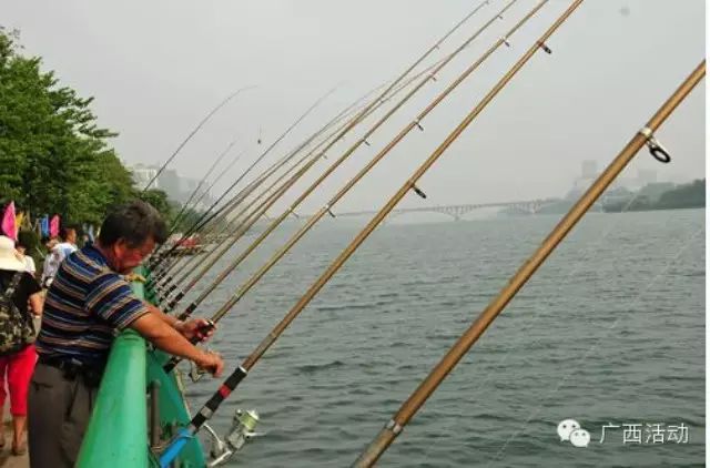 柳州水上狂欢节：钓鱼大赛和鸟飞人大赛举行