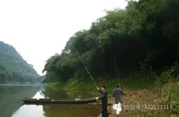 钓大鱼的技巧和方法
