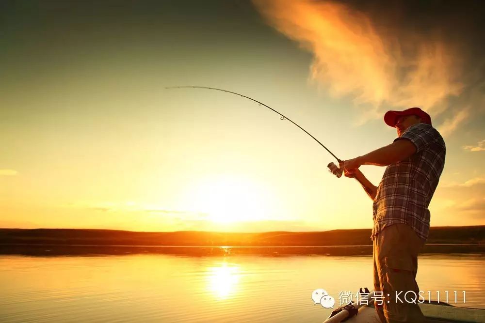 【钓问】钓鱼大师来教你防止跑鱼的技巧的精髓