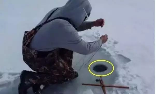 奇闻！男子到冰湖上垂钓，没想到钓起来只鸭子，还是活的！