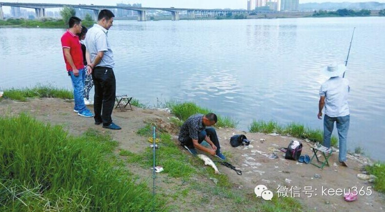 现实版“姜太公钓鱼”嘉陵江边的空钩钓鱼