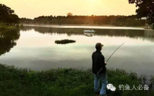 【技巧】夏季高温天气钓鱼的3个技巧