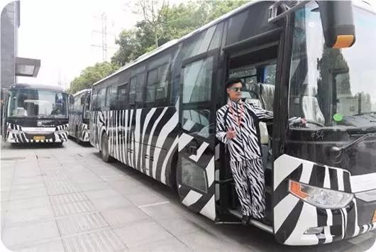 武汉竟然有这样一种巴士，真皮座椅！冷气超足！还不要钱！一条微信告诉你怎么“上”Ta…