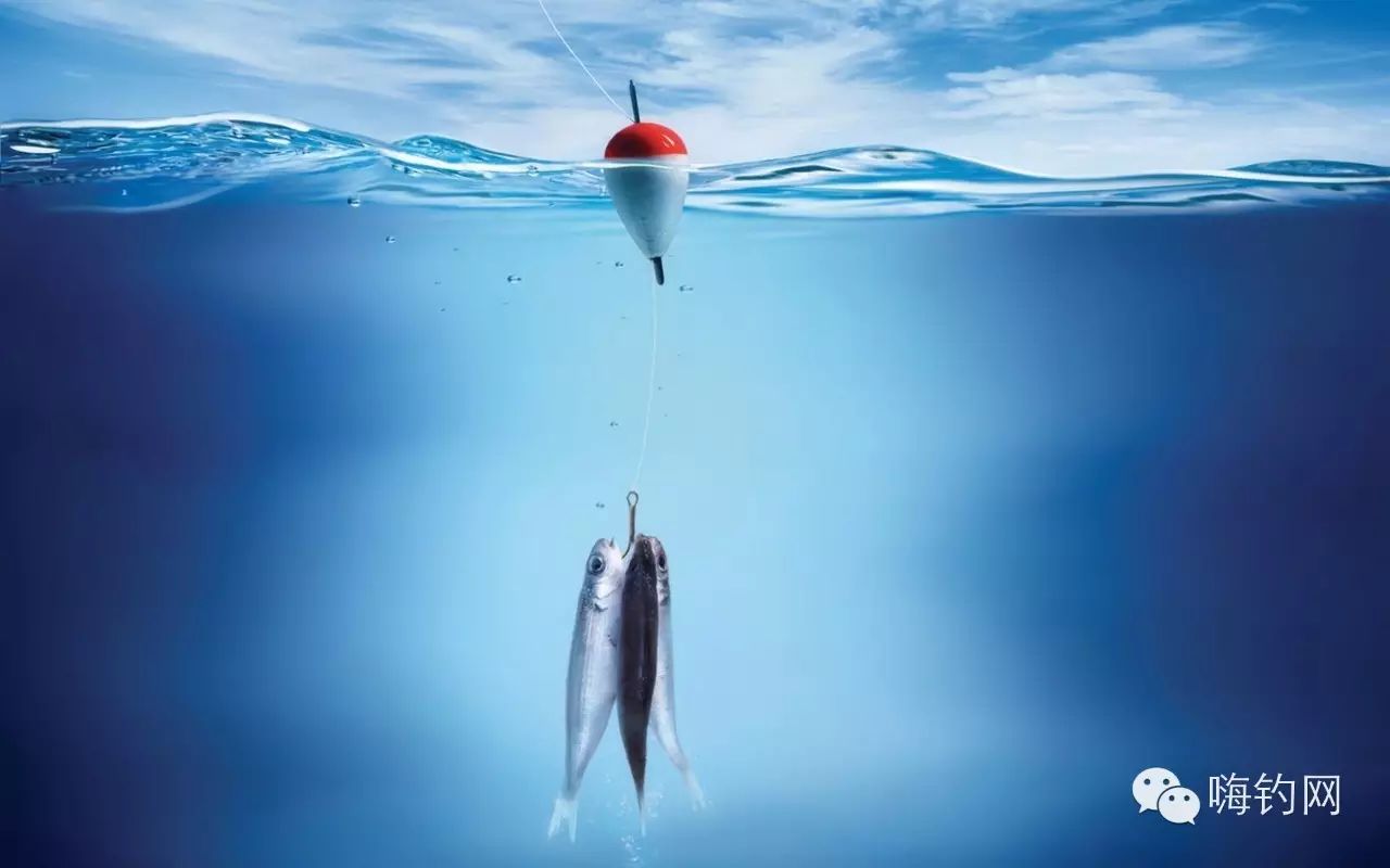 钓鱼技巧—为什么浮漂有信号却空军？