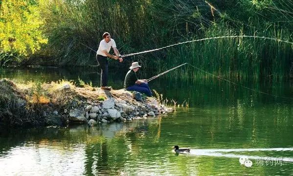 夏季钓鱼方法技巧总结
