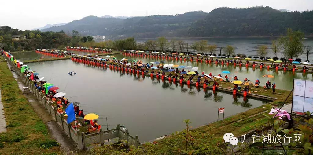 第八届中国升钟湖钓鱼大赛日程安排及奖金设制