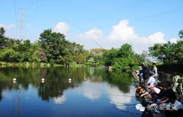 这个星期六青田章村乡喊你来钓鱼、赏美景！