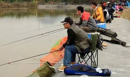 【钓鱼技巧】坑塘台钓钓鱼的五个原则和技巧