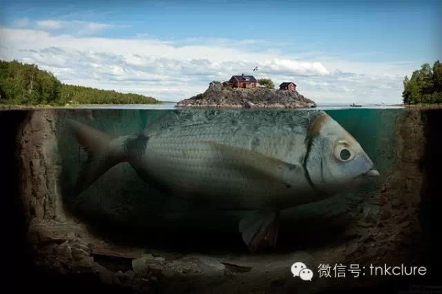 来看看世界上最大的淡水鱼