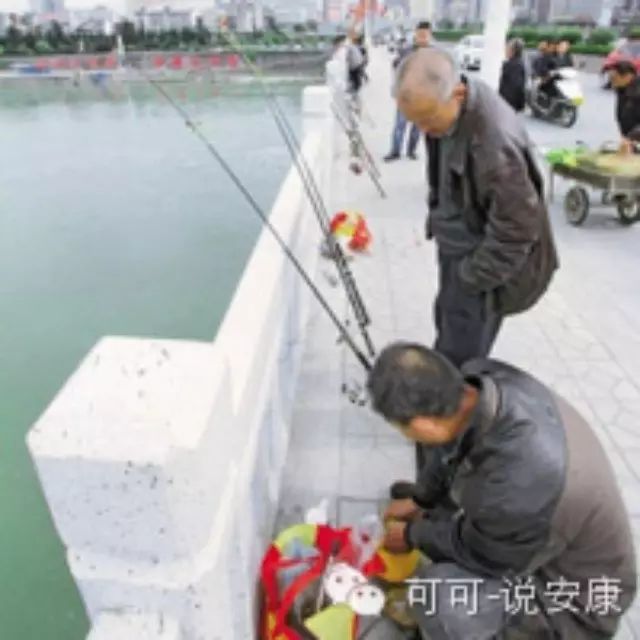 汉江大桥钓鱼，玩命！