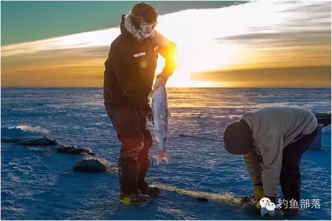 【技巧】钓鱼人必藏，冰钓看这一篇就够了！