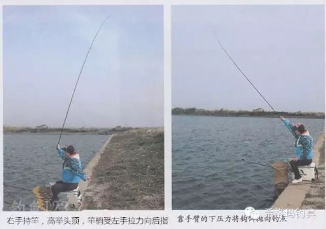 【希格玛钓具&钓鱼课堂】台钓的五种抛竿方法