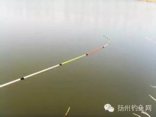【教你一招】冬季筏竿钓鱼之逗钓方法