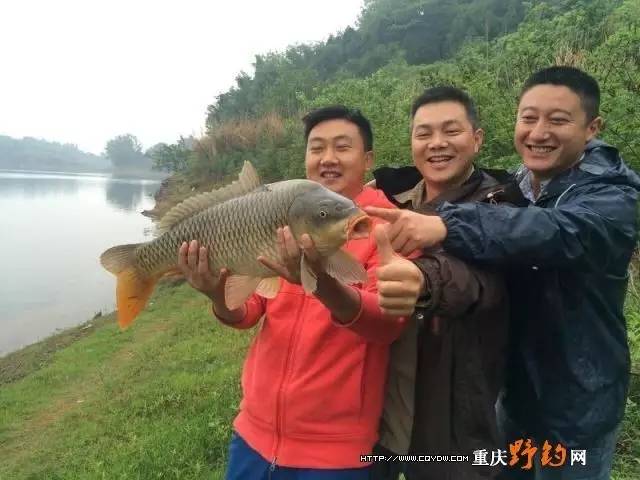 (水麻将)重庆野钓网“重窝”杯鲁班湖小型钓鱼对抗赛