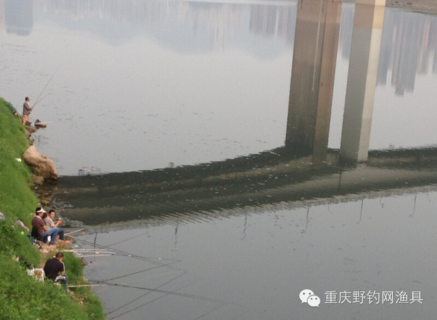 重庆野钓网俱乐部，端午节钓鱼活动安排