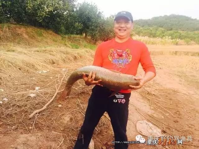 花藏刀，长寿湖钓23.6斤大草鱼