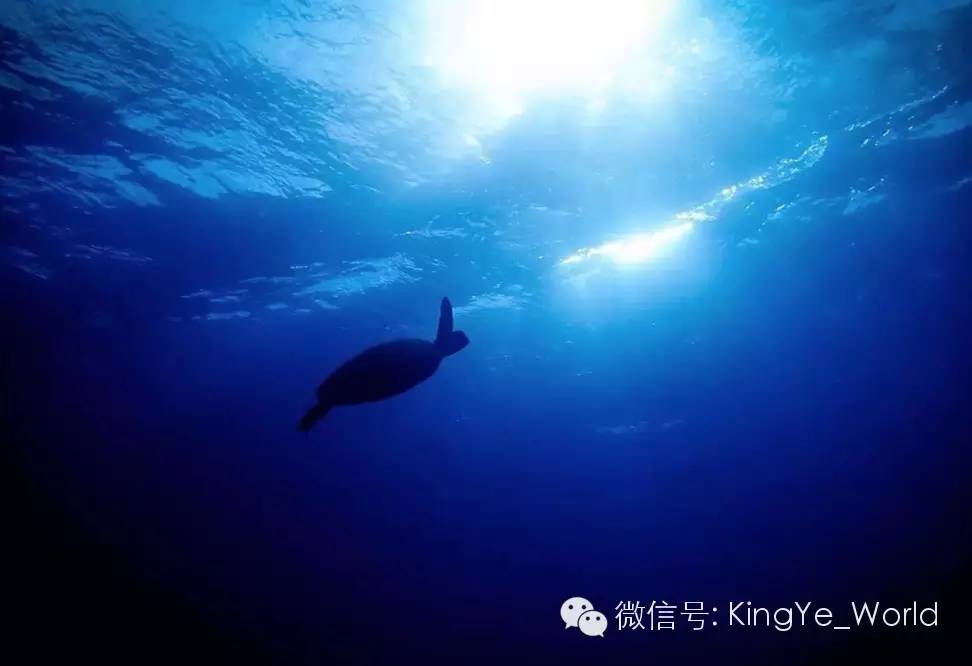 台湾绿岛潜水，大蓝水中的明珠