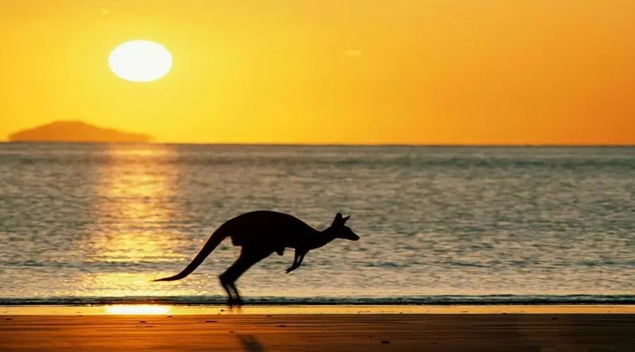 来澳大利亚新西兰感受南半球的纯净