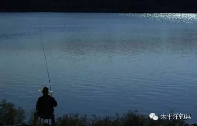【钓鱼知识】水温水质等条件对鱼类食性的影响