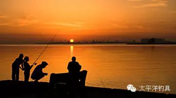【钓鱼技巧】水温水质等条件对鱼类食性的影响