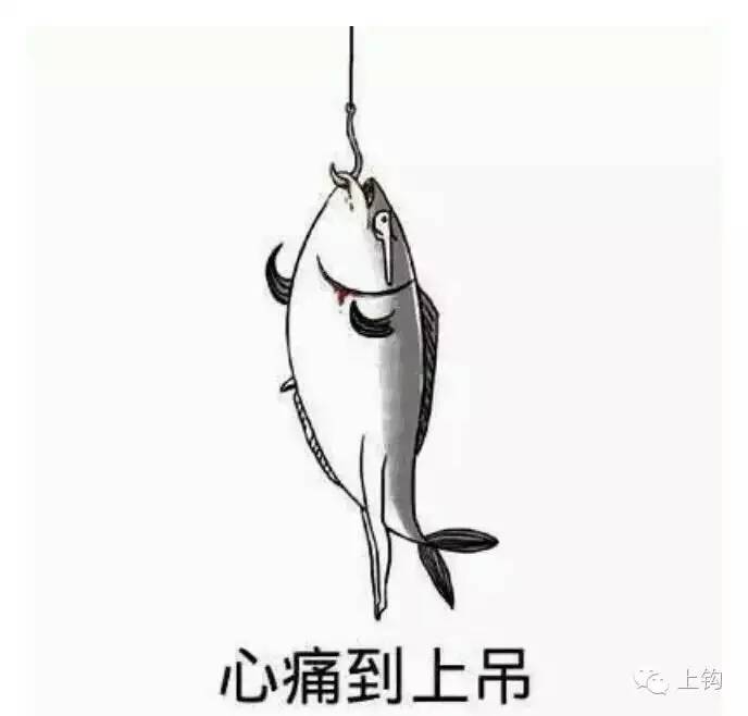 专栏：在这个国家钓到鱼，你不能让它活着离开