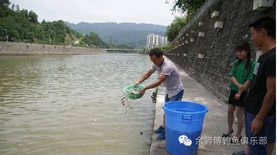 【钓鱼新闻】维护天然水域生态：宁强县钓鱼爱好者放流鱼苗6千尾