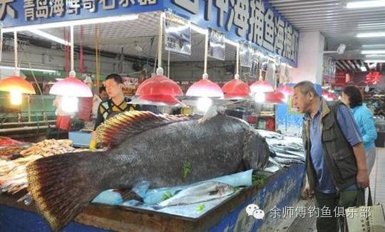 【钓鱼新闻】青岛305斤巨型石斑鱼惊现海鲜市场