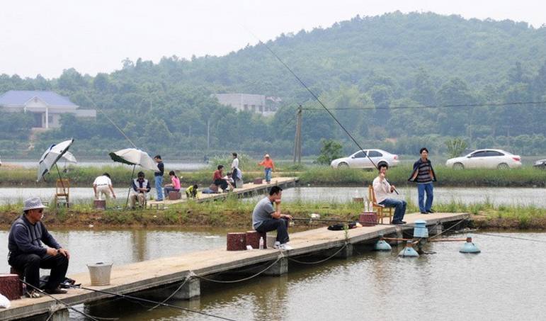 【钓鱼技巧】夏季坑塘钓鱼的五个实用技巧