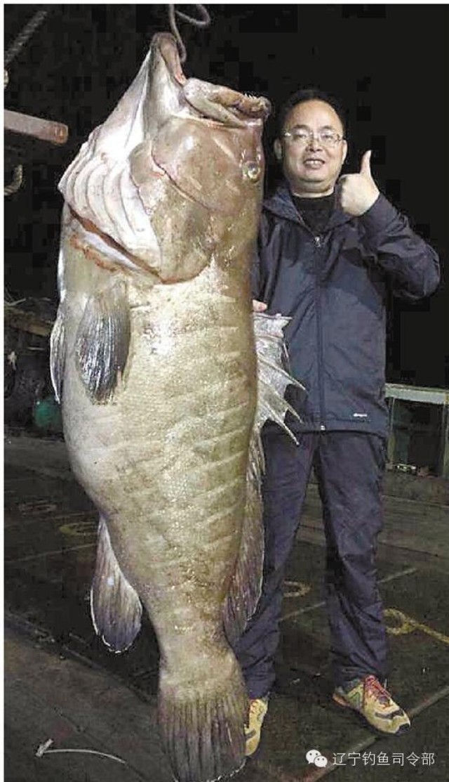 海上漂泊5天5夜钓获1.7米长巨型石斑——大鱼重达102斤