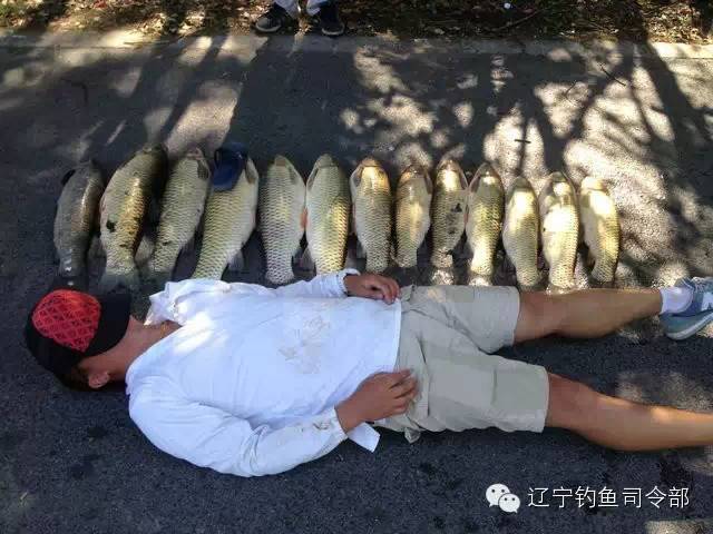 上海钓友野塘狂爆大草鱼——这么猛的图片你肯定没看过