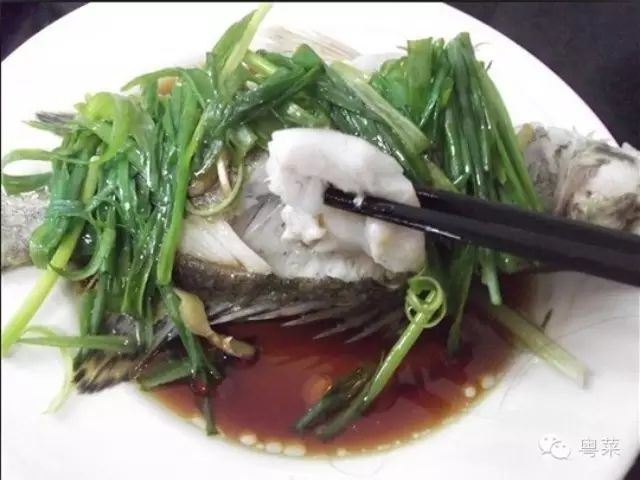 【粤菜】清蒸桂花鱼的做法