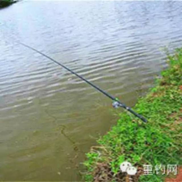 【野钓钓鱼技巧】手车竿野钓大鱼宜用传统钓钓鱼技术