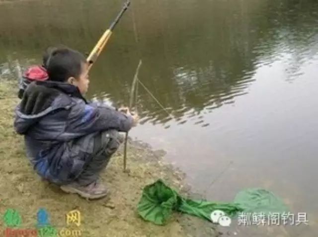 视频】这小女孩钓鱼真有一手，一会儿钓了个大家伙!