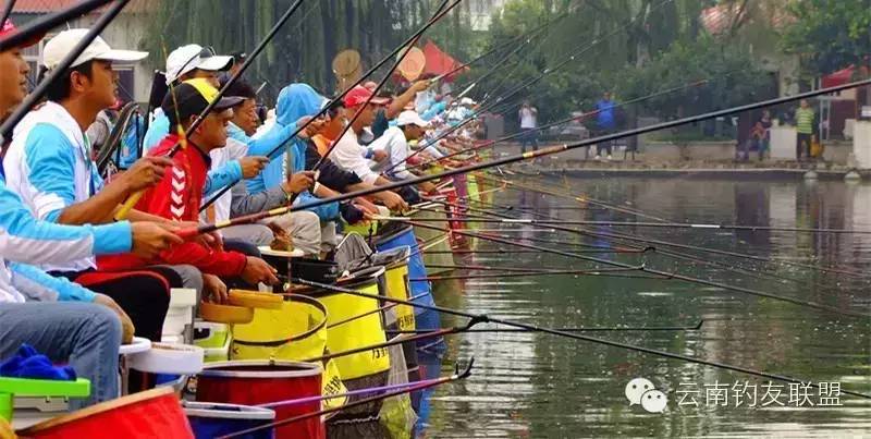 富民县第四届钓鱼邀请赛开始报名了！