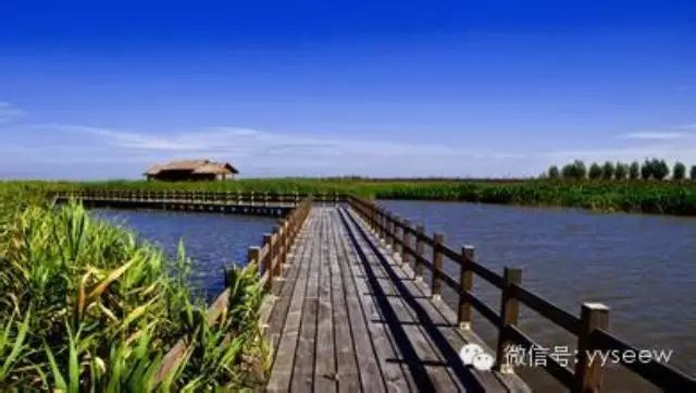 杭州湾湿地公园再添游玩新项目 垂钓中心落成