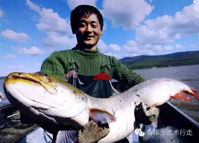 实拍：中国最大的淡水冷水性鱼展馆探秘