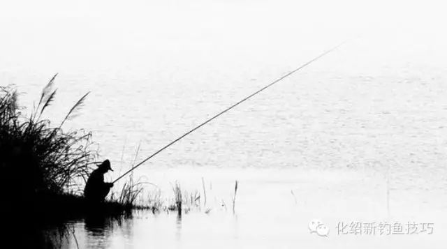 带支钓竿，静坐水边，钓鱼人要的其实很简单！