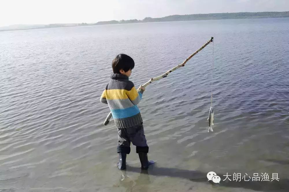 鱼类学钓鱼人懂多少